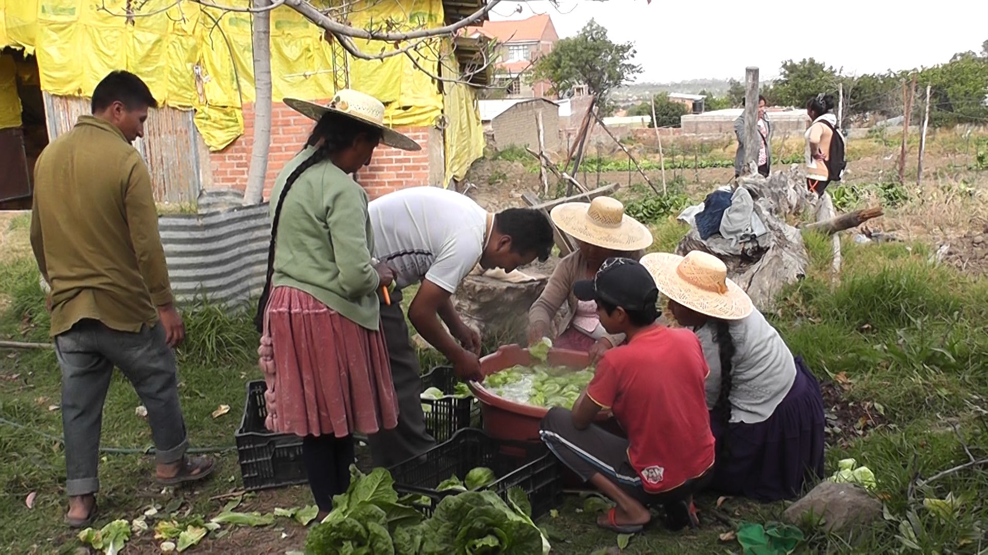 Water, Poverty, and Social Equality – Bolivia